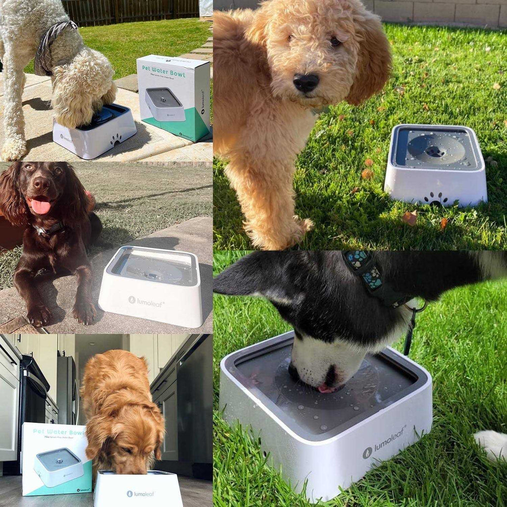 Dog Water Bowl Slow Feeder No Spill K837