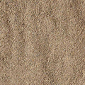 Scoopable Kitten Litter S455131