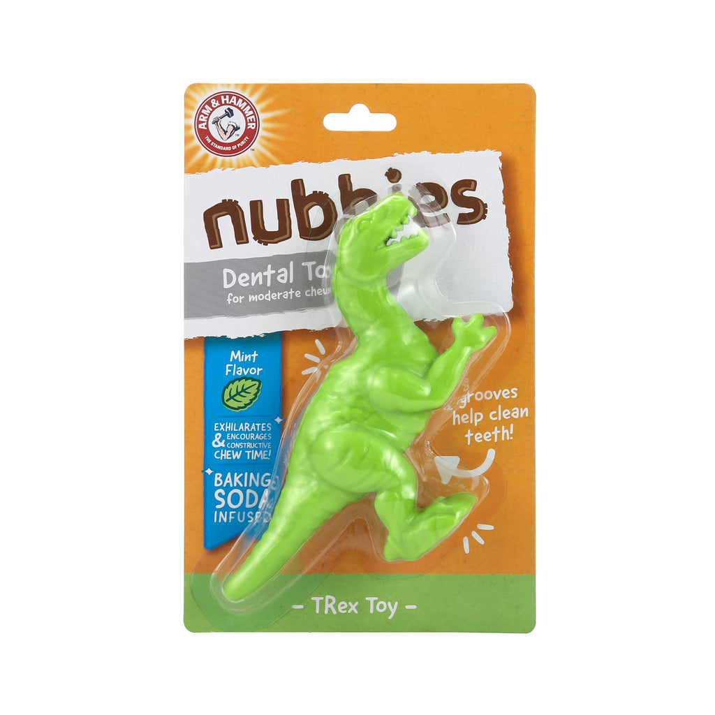 Mint Flavor Dental Chew Toy for Dogs G141901