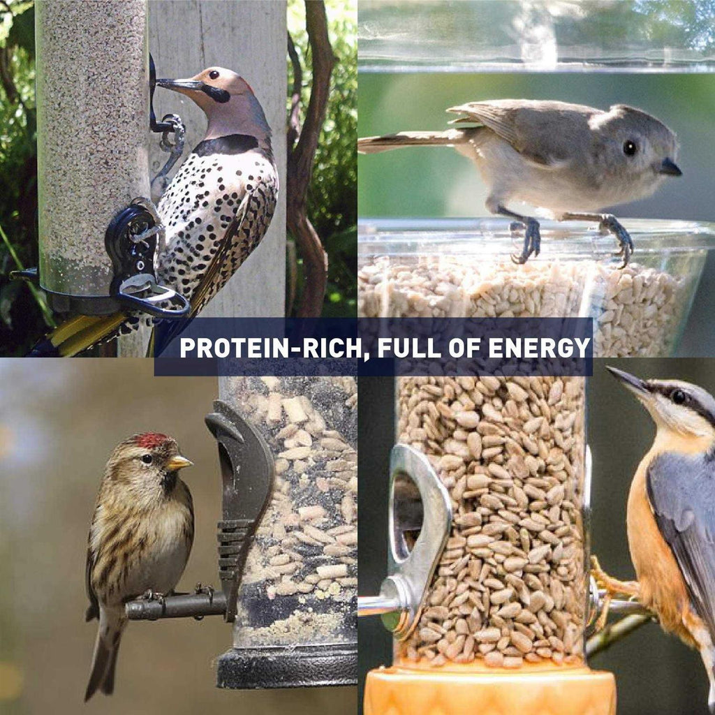 Sunflower Kernels Wild Bird Food 50 lb R2406