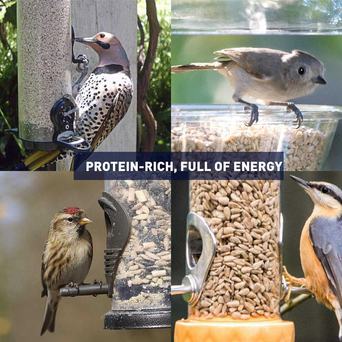 Sunflower Kernels Wild Bird Food 50 lb R2406