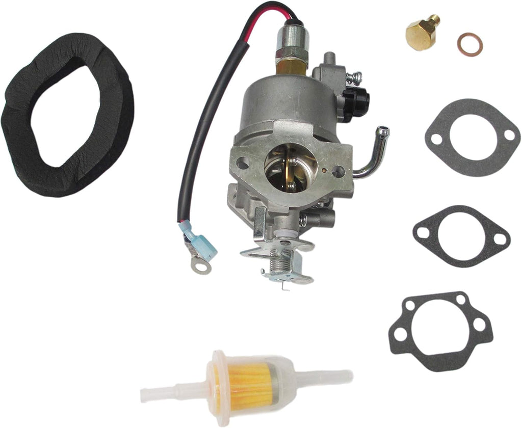 Carburetor for Cummins Onan Generator G2894
