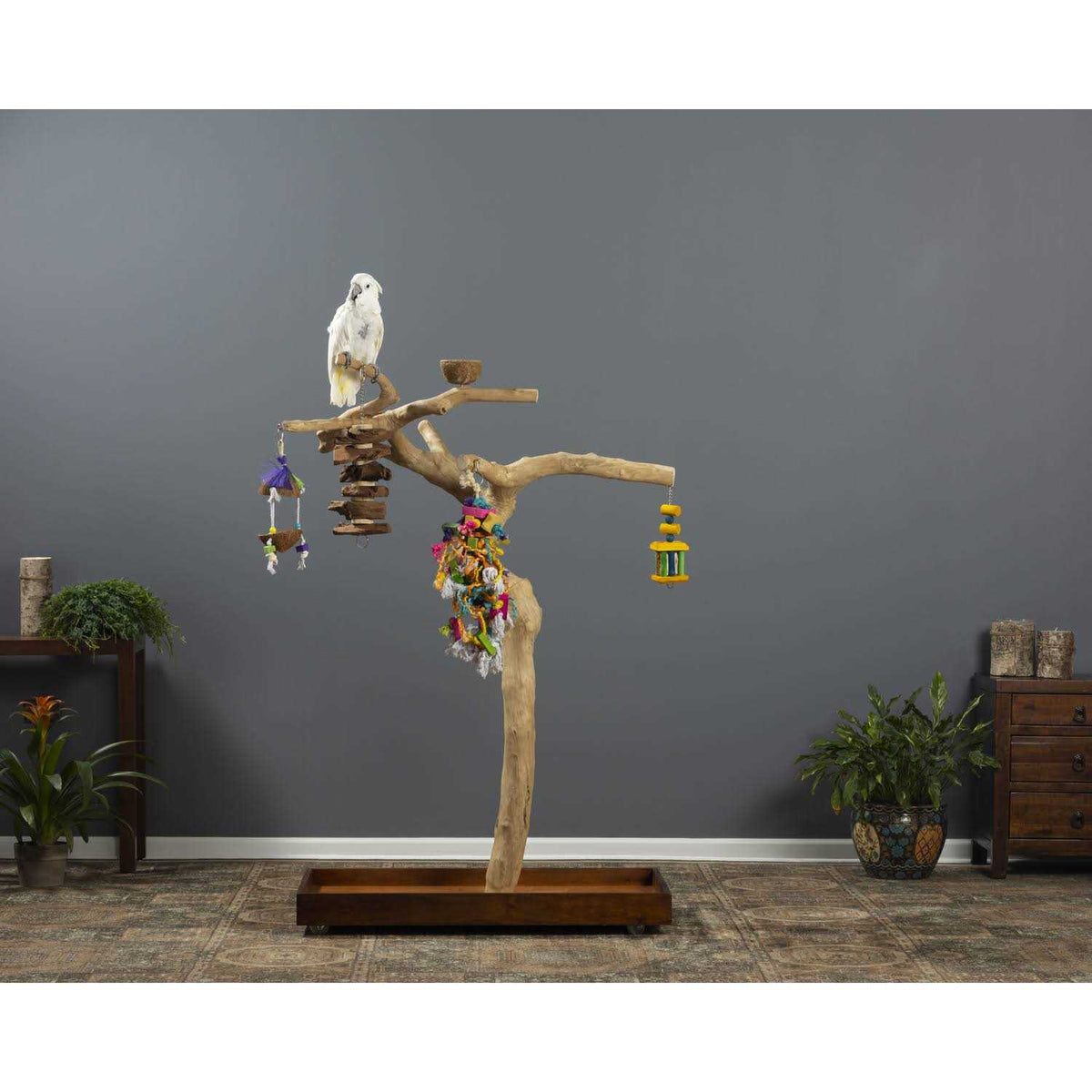 Coffeawood Tree Style Floor Stand Z595