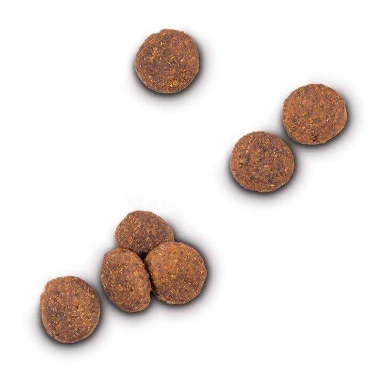 Grain Free Lamb and Lentil Dry Dog Food G806