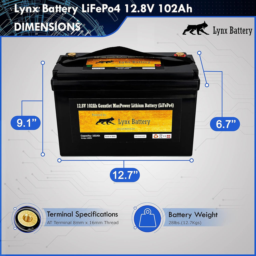 12V 100Ah Lithium Iron Phosphate LiFePO4 Battery with BMS N897