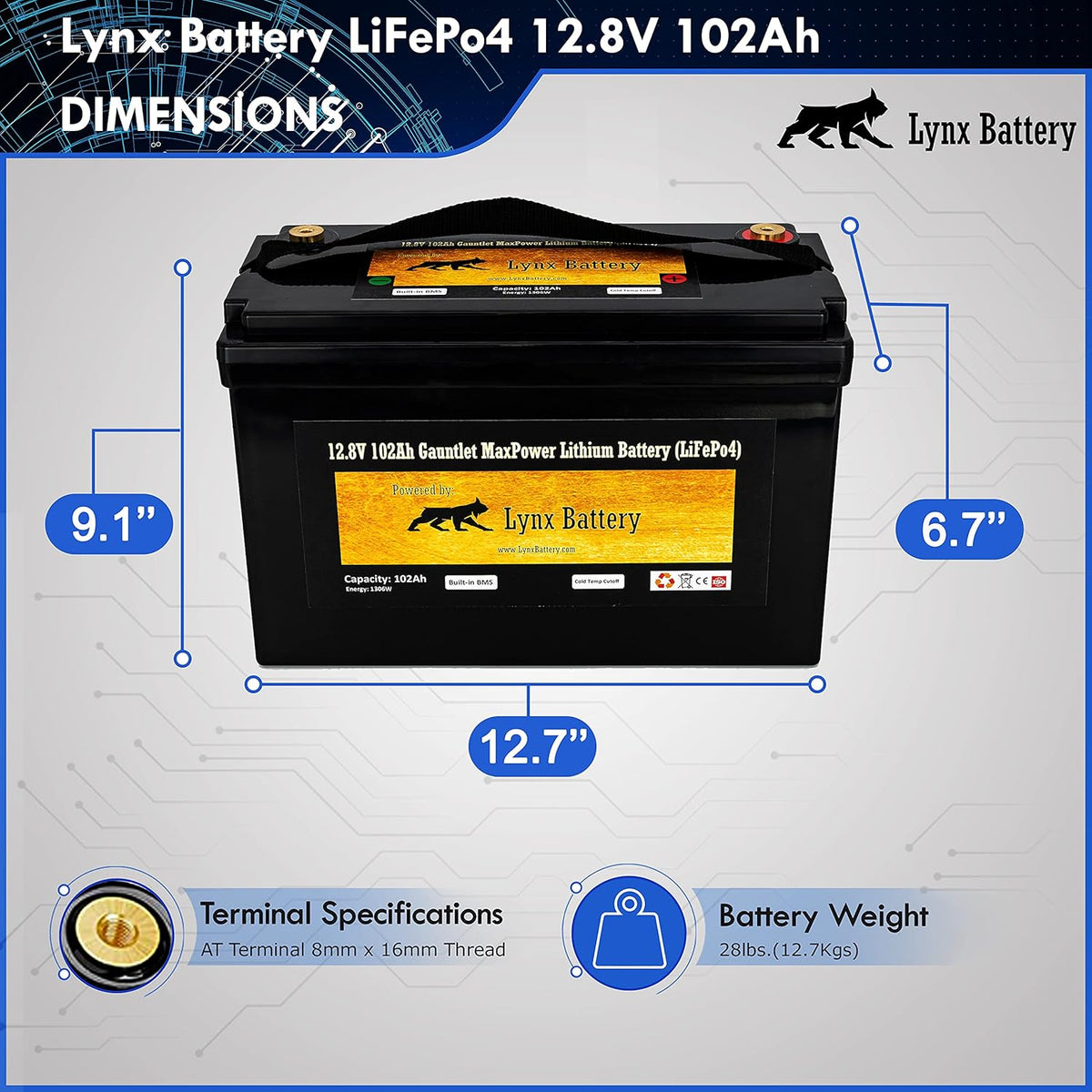 12V 100Ah Lithium Iron Phosphate LiFePO4 Battery with BMS N897