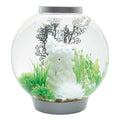 Classic 60 Aquarium with LED G6484