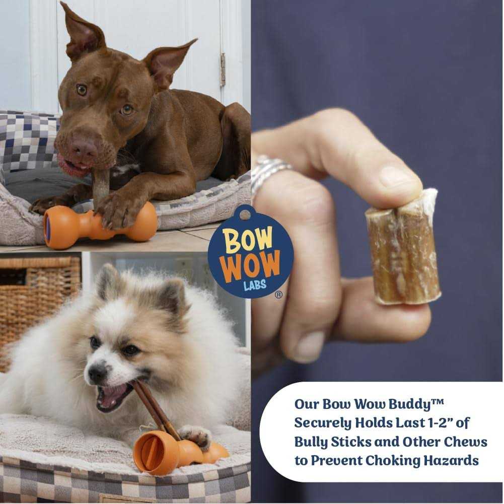 Bully Stick Holder for Dogs Starter Kit Q40022