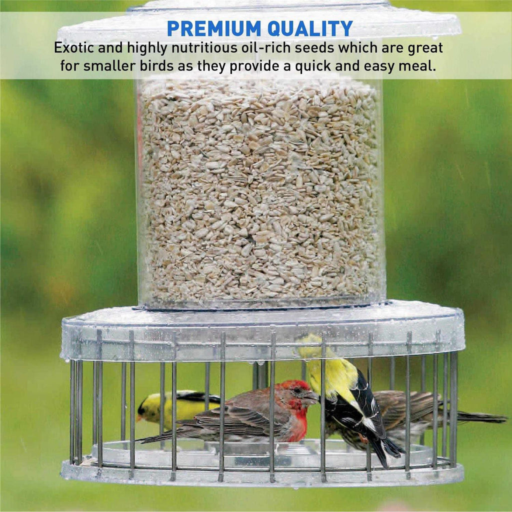 Sunflower Kernels Wild Bird Food 50 lb R2406