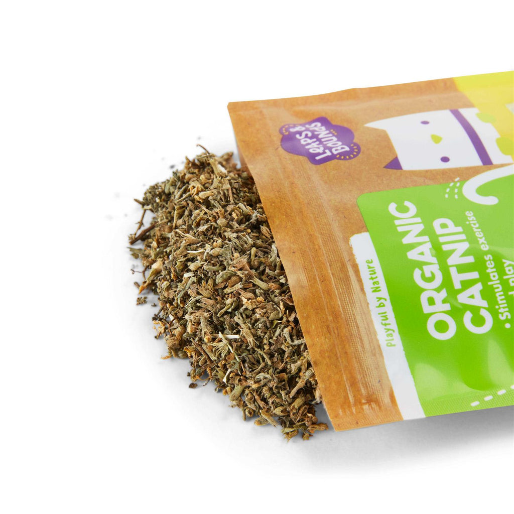 Natural Catnip Cat Toy S495976