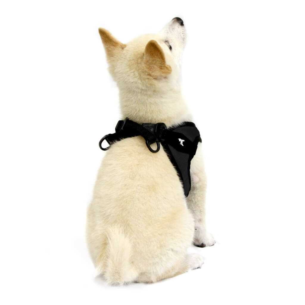 Easy Fit Dog Harness H7561