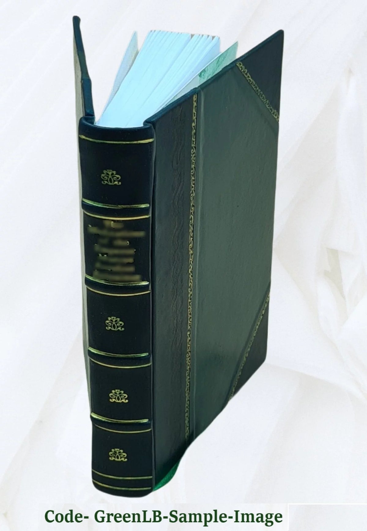 Leather Bound Bullarium B524