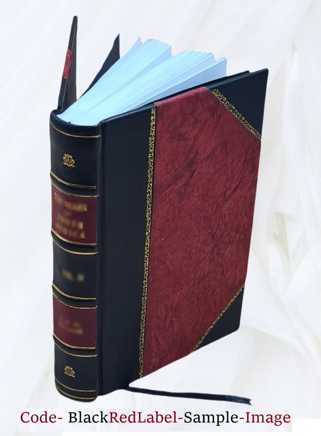 Leather Bound Bullarium B524